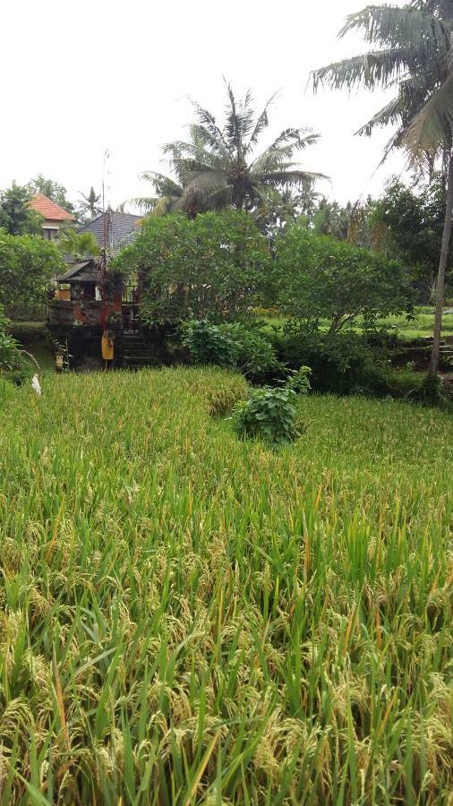 Pondok Tulasi Semaya House Payangan Exterior foto